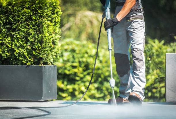 Best Solar Panel Cleaning  in Seyur, MO