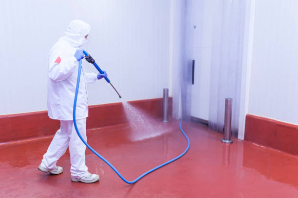 Best Paint Preparation  in Seyur, MO