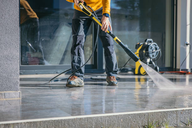 Best Solar Panel Cleaning  in Seyur, MO